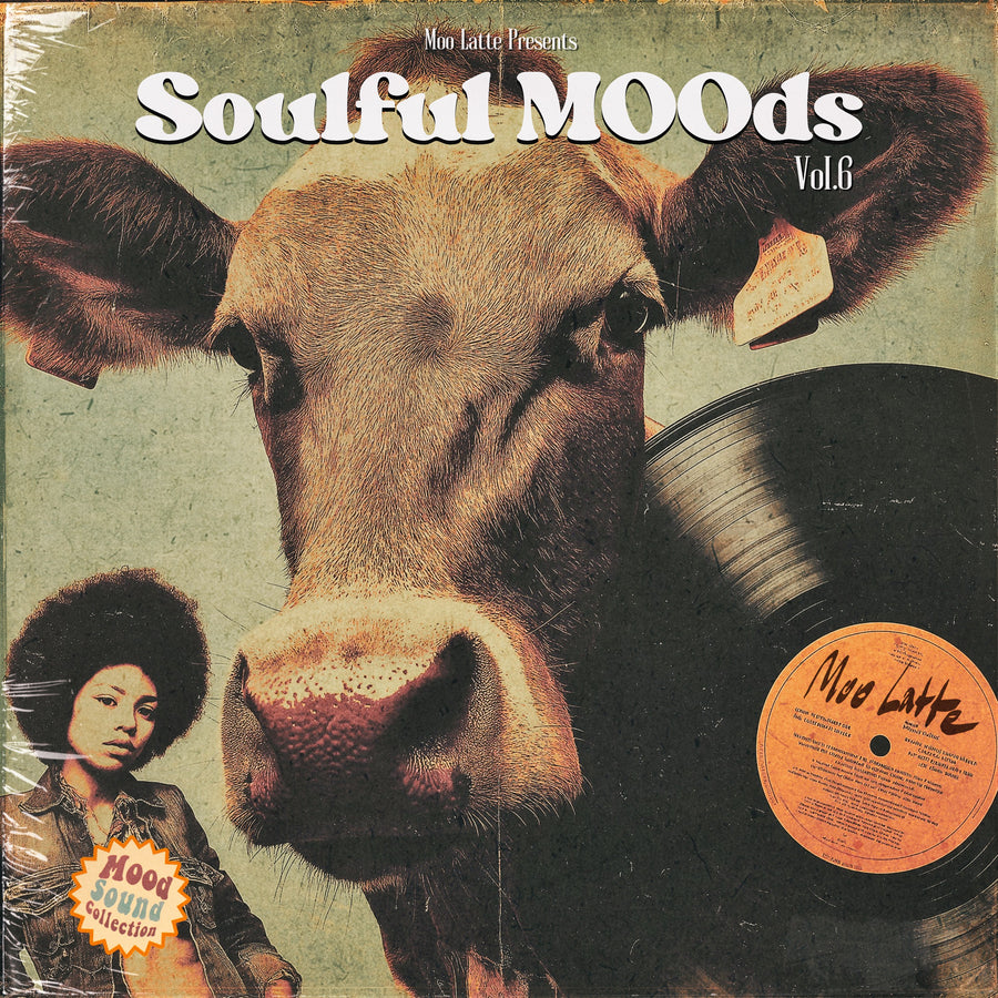 Soulful MOOds Vol. 6